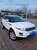 Range Rover Evoque Baden-Württemberg - Lauchringen Vorschau