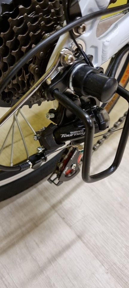 ‼️ 20 Zoll E-Bike Klapprad Shop-Garantie - 1908 in Düsseldorf