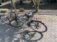 Fahrräder Damen und Herrn Niedersachsen - Großheide Vorschau