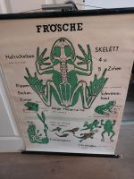 Lehrkarte Schulkarte Vintage Deko Frösche Aachen - Eilendorf Vorschau