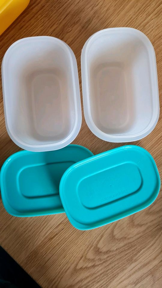 Tupperware Gefrierdose in Hadamar