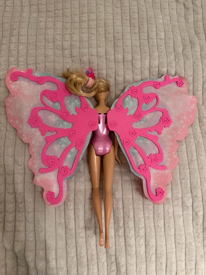 Schmetterling Barbie in Bremen