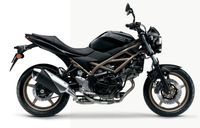 Suzuki SV 650 - Modell 2024 Kr. Passau - Passau Vorschau