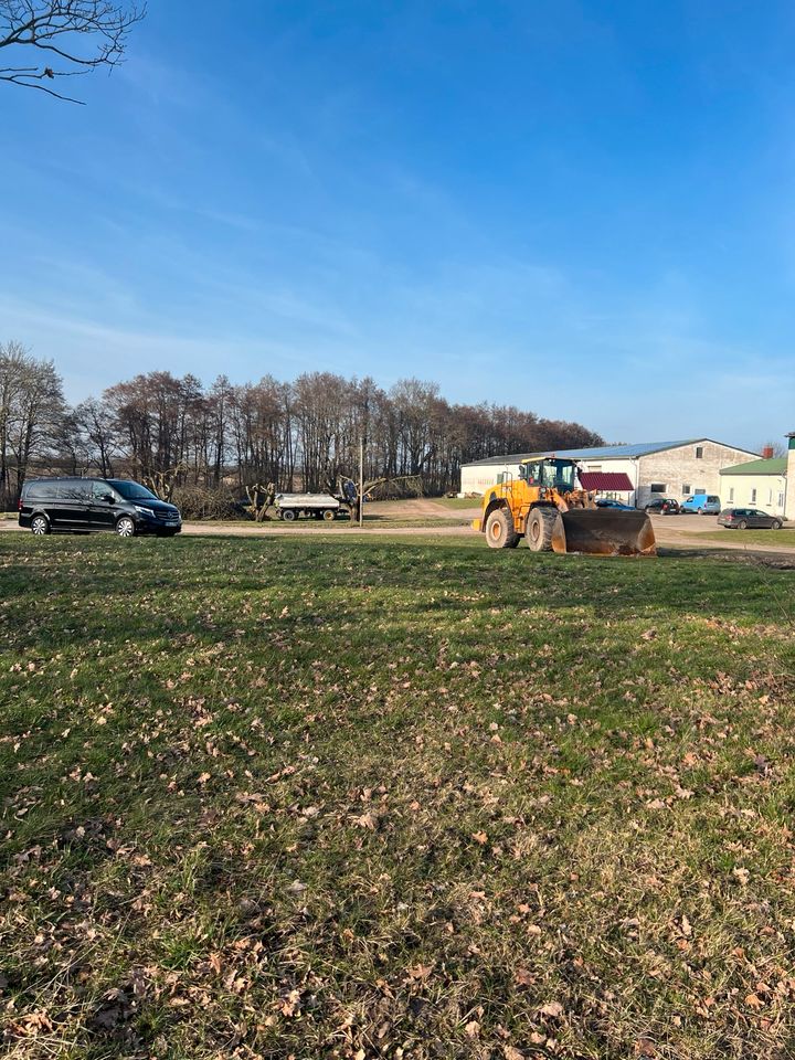 Bagger, Radlader, Teleskoplader, Hubbühne mit Mann zu vermieten in Ahrenshagen-Daskow