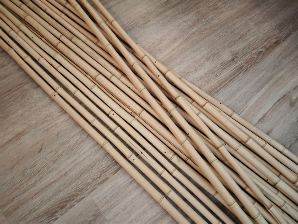 Bambusstäbe Pflanzstäbe Dekoration in Uelzen