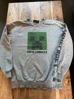 Reserved Sweatshirt Jungen Gr. 164 Brandenburg - Wittenberge Vorschau