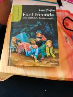 Fünf Freunde - Drei gefährliche Begegnungen (Sammelband 5) Nordrhein-Westfalen - Kleve Vorschau