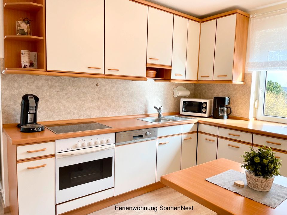 Ferienwohnung Apartment Appartement FeWo, ab 75 €/Ü + 65 € Endr. in Bad Wildungen