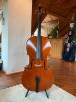 Cello 1/1 aus der Werkstatt von Benedict van Gompel Baden-Württemberg - Freiburg im Breisgau Vorschau