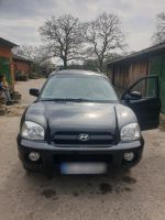 Hyundai Santa Fe LPG Autogas Niedersachsen - Hatten Vorschau