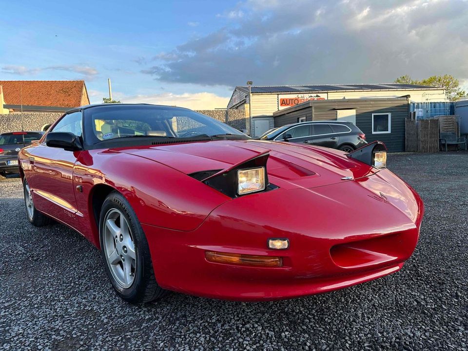 Pontiac Firebird Coupe    3,8 Liter  196 PS  "Liebhaber" in Worms