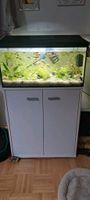 Verkaufe ein 60 Liter Aquarium mit Schrank ohne Inhalt und fische Rheinland-Pfalz - Neuwied Vorschau