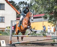 ❗️AKTUELL❗️ Ich suche eine Reitbeteiligung (Reiterin sucht Pferd) Frankfurt am Main - Oberrad Vorschau