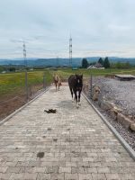 Stallplatz Baden-Württemberg - Albbruck Vorschau