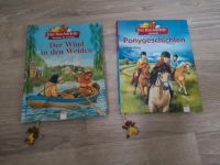 Bücherbär Ponygeschichten & Wind in den Weiden Erstlese-Bücher Niedersachsen - Vechta Vorschau