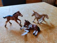 Ponys von Schleich Bayern - Ostheim Vorschau