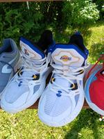 Basketballschuhe Lakers Nordwestmecklenburg - Landkreis - Zickhusen Vorschau