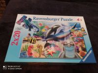 Ravensburger Puzzle Fische 2 x 20 Teile Neuwertig Nordrhein-Westfalen - Elsdorf Vorschau