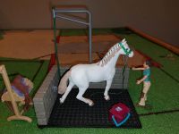 Schleich Horse Club Waschplatz Saarland - Wadgassen Vorschau