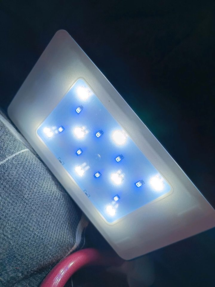 Led Beleuchtung für Aquarium oder Terrarium in Quierschied