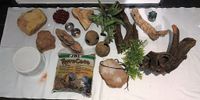 T079 div. verschiedene Terrarium Deko, alles in gutem Zustand von Nordrhein-Westfalen - Lüdenscheid Vorschau