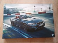 Puzzle BMW M4 Cabrio - 500 Teile Baden-Württemberg - Gundelfingen Vorschau