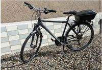 Pegasus 28 Zoll Herrenfahrrad Sachsen-Anhalt - Westeregeln Vorschau