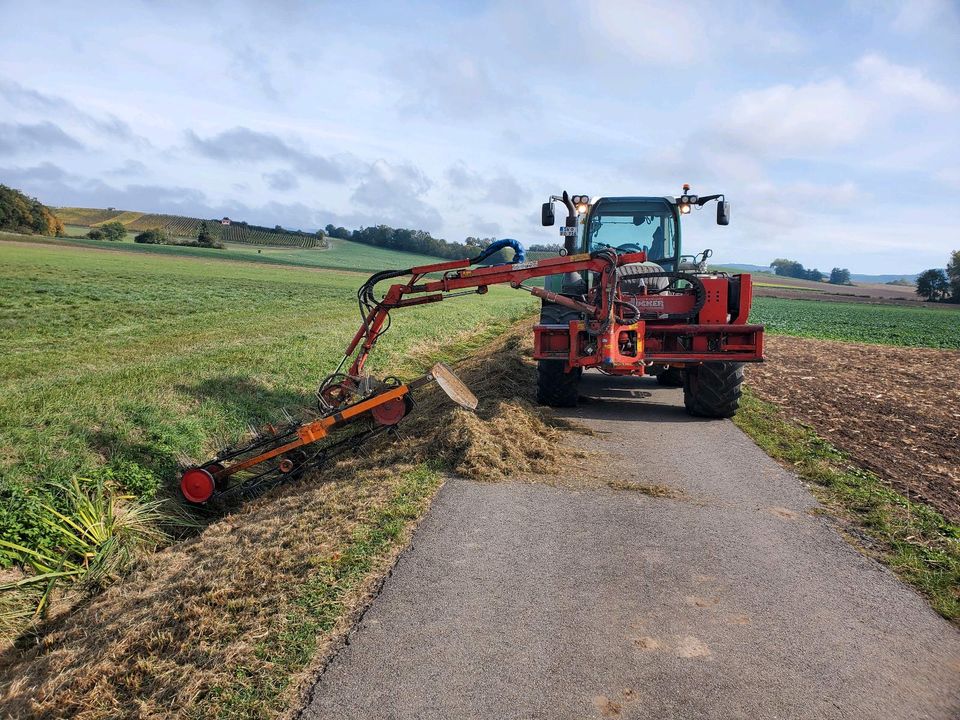 Mulcharbeiten von Gräben und Böschungen, Begleitgrün,Dücker,Fendt in Michelau