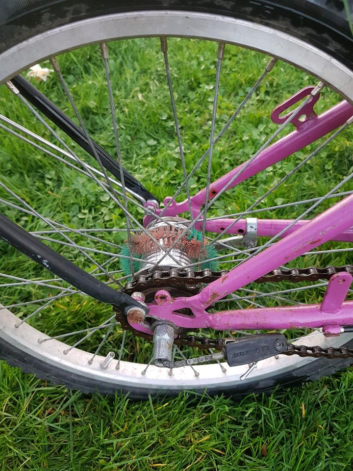 Lastenrad für Kinder 20" / 16" in Kassel