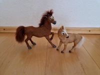 Pferde / Fellpferde Bayern - Ergolding Vorschau