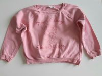 H&M Mädchen Sweatshirt Pulli Tiger Rosa 146 / 152 Zwillinge Nordrhein-Westfalen - Arnsberg Vorschau