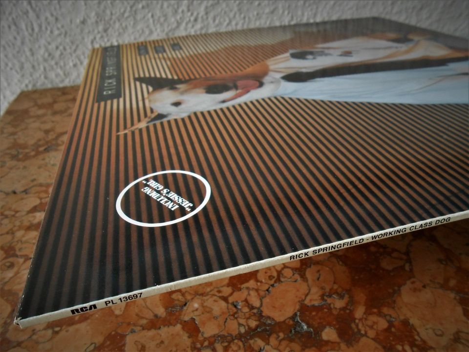 Rick Springfield - Original LP Sammlung - 6 Platten - 1981 - 1985 in Wiesbaden