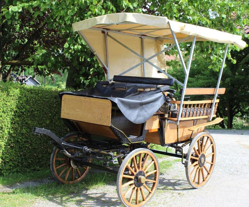 Kutsche, Linzer Wagonette 6 Sitzer, Holz, Verdeck in Leutkirch im Allgäu