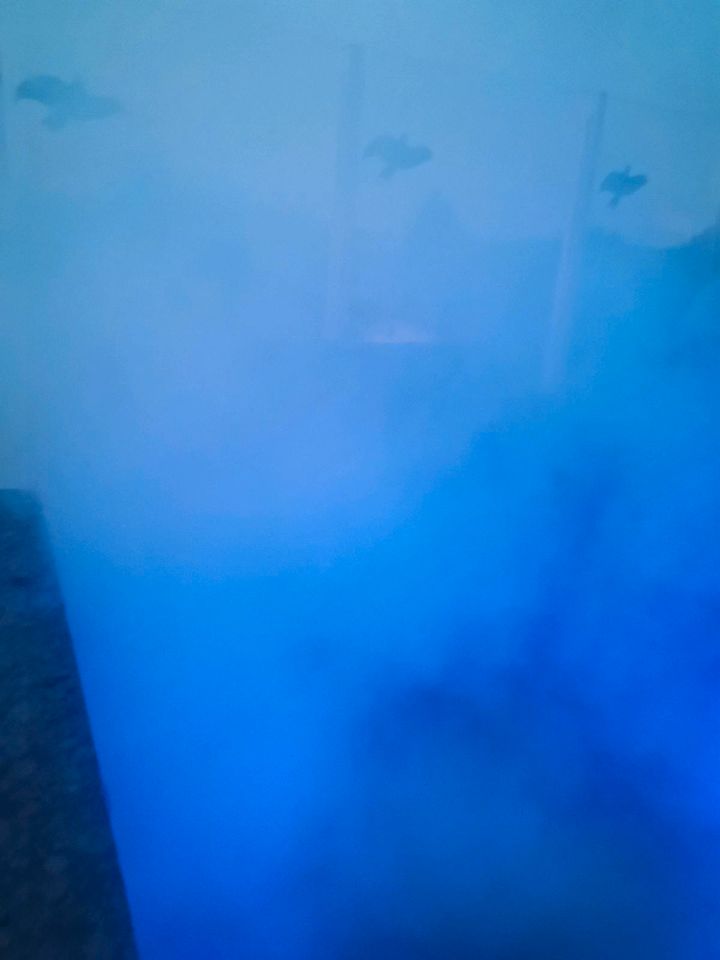 Nebelmaschine  zu vermieten in Kötz