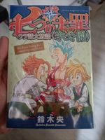 Sonder Manga Ausgabe direkt aus Japan Sachsen-Anhalt - Köthen (Anhalt) Vorschau