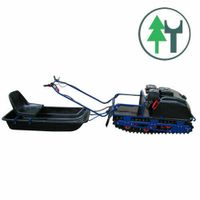 Motorschlitten 500/15 Snowmobile Raupenschlitten Pistenraupe Sachsen - Schwarzenberg (Erzgebirge) Vorschau