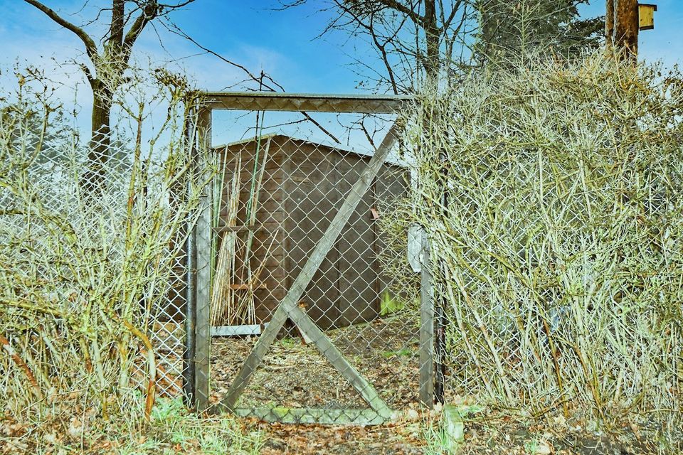 Gartengrundstück - Parzelle Nr. 32 - bei Dresden in Pirna