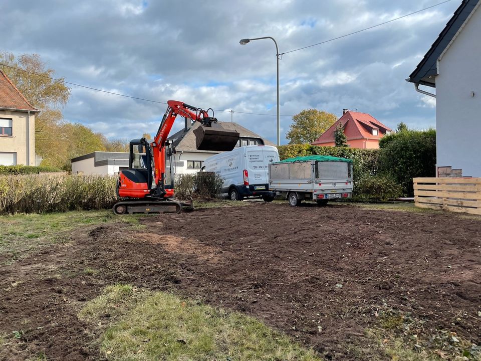 Sturmschaden Baumfällung Rodung Baggerarbeiten Baum fällen hecke in Dillingen (Saar)