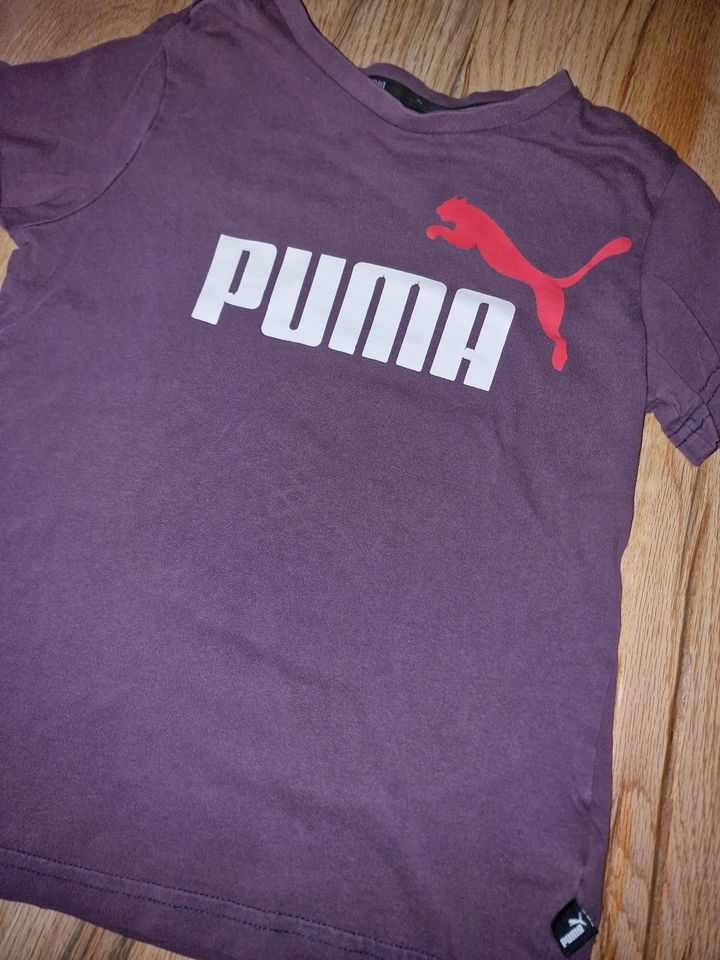 T-Shirt puma 128/134 in Eslohe
