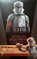 Transport Trooper 1/6 Star Wars Mandalorian Actionfigur Hot Toys Rheinland-Pfalz - Mayen Vorschau