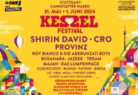 Kesselfestival Ticket 31 Mai + 1 Juni Rheinland-Pfalz - Dittelsheim-Heßloch Vorschau