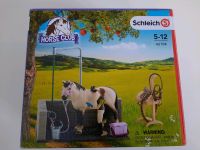 Schleich Horse Club 42104, komplett Leipzig - Leipzig, Zentrum-Ost Vorschau