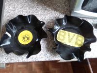 Zwei BVB Schalen aus Schallplatten Nordrhein-Westfalen - Minden Vorschau