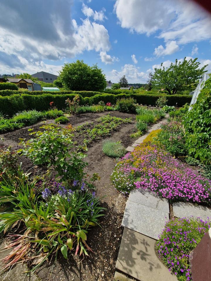 KleingartenSchrebergarten in Cainsdorf in Sachsen Zwickau