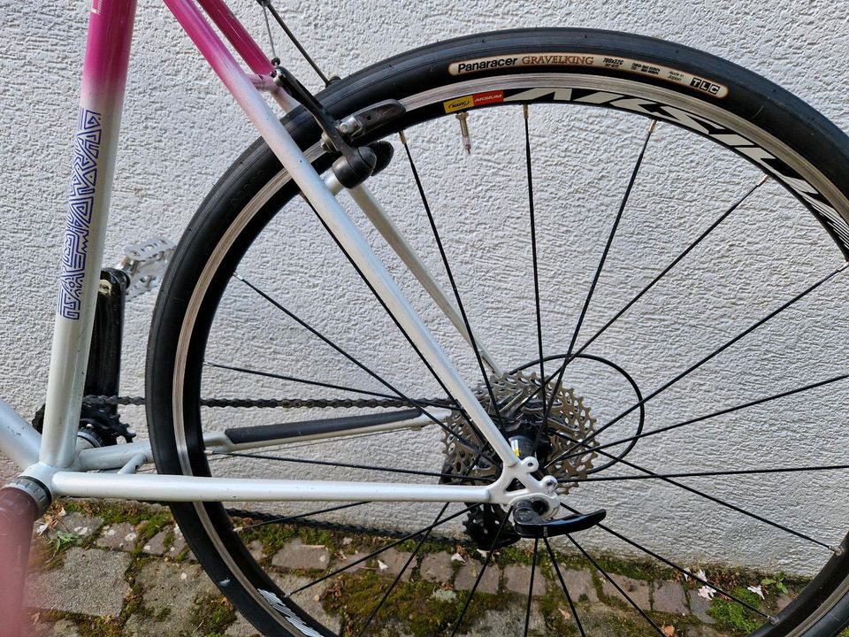 Peugeot Fahrrad Cyclocross/Gravel in Stuttgart