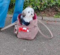 Filousion Sommer Hundetragetasche S Baden-Württemberg - Rheinstetten Vorschau