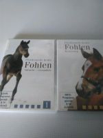 Fohlen Aufzucht 2 DVD Pferd Reiten Niedersachsen - Hanstedt Vorschau