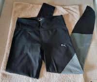 Sporthose von Puma Größe 38 Niedersachsen - Braunschweig Vorschau