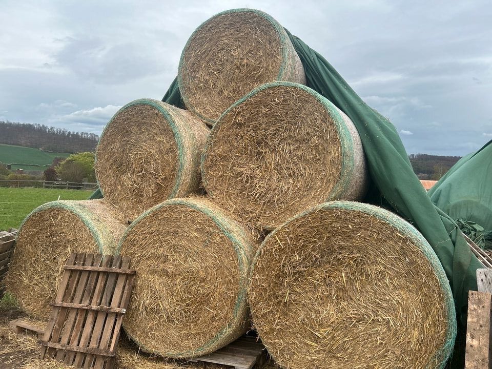 Stroh in Rundballen in Delligsen