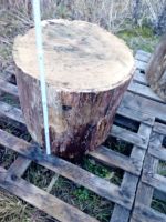 Hackklötze Hauklotz Spaltholz aus Eiche Brandenburg - Trebbin Vorschau